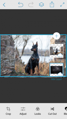 Adobe Photoshop Mix - quality photo collages [Free]